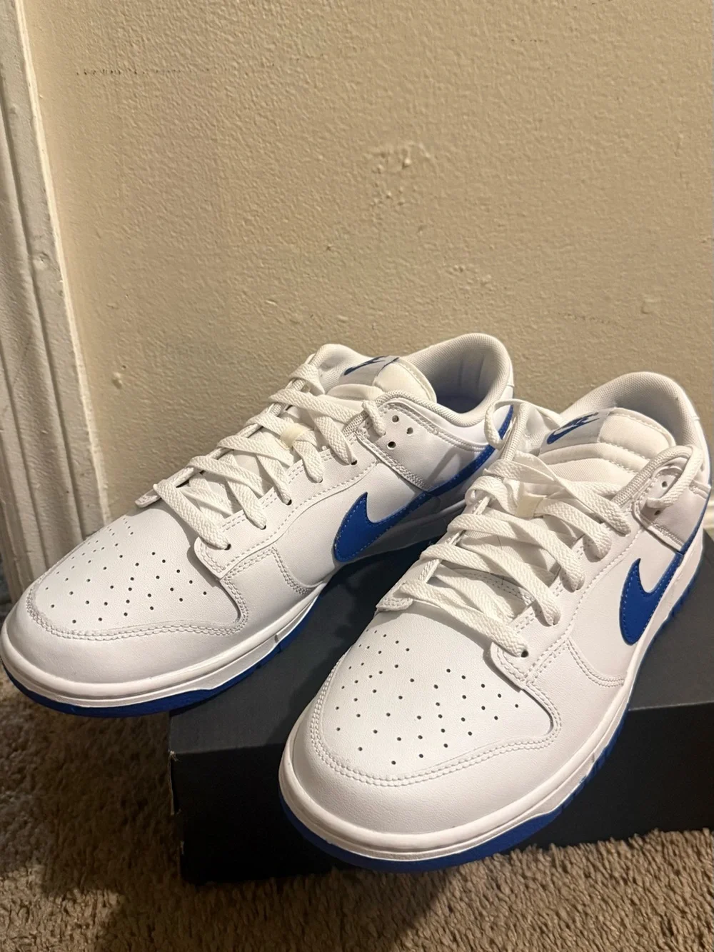 Nike White and Blue Low-Top Athletic Sneakers
